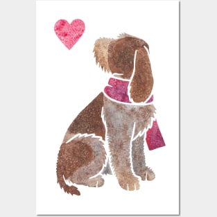 Watercolour Spinone Italiano Posters and Art